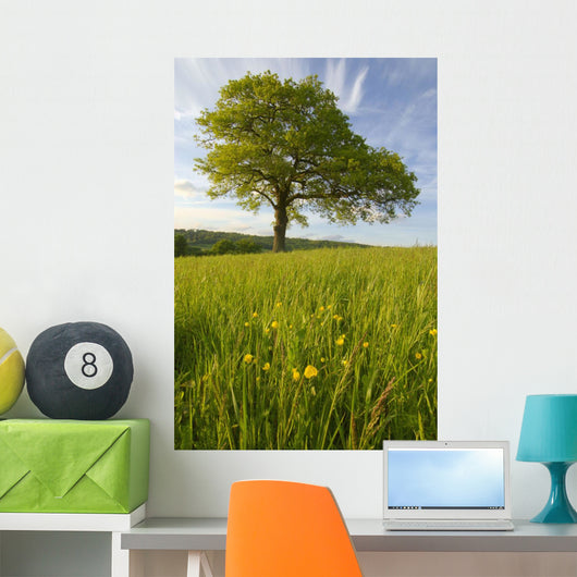 Solitary Oak Tree And Wildflowers In Field Wall Mural
