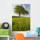 Solitary Oak Tree And Wildflowers In Field Wall Mural