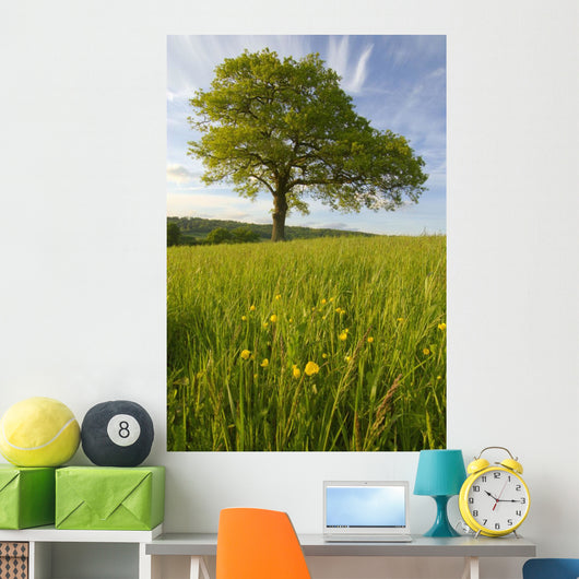 Solitary Oak Tree And Wildflowers In Field Wall Mural
