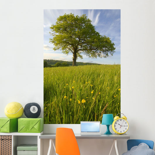 Solitary Oak Tree And Wildflowers In Field Wall Mural