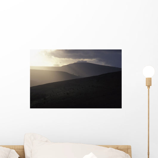 Landscape Wall Mural