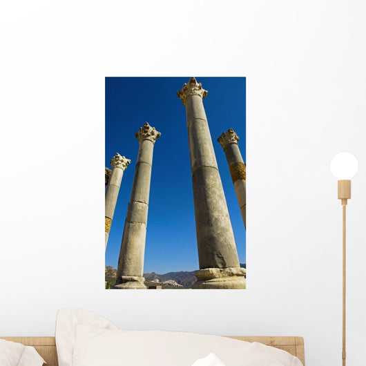 Column In Capitol In Ancient Roman City Wall Mural