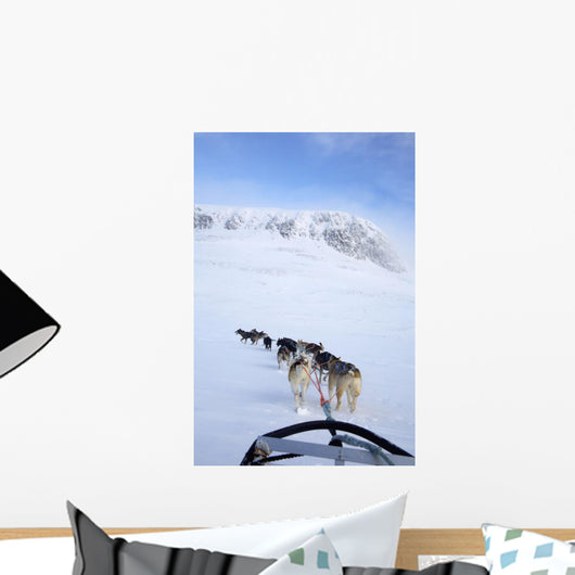 Dogs Pulling Sled Towards Hallingskarvet Mountain Wall Mural