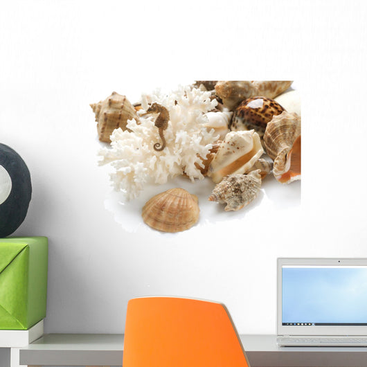 Shells Wall Decal