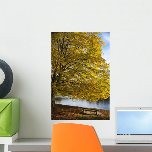 A Tree With Golden Leaves And A Park Bench On The Edge Of The Water Wall Mural