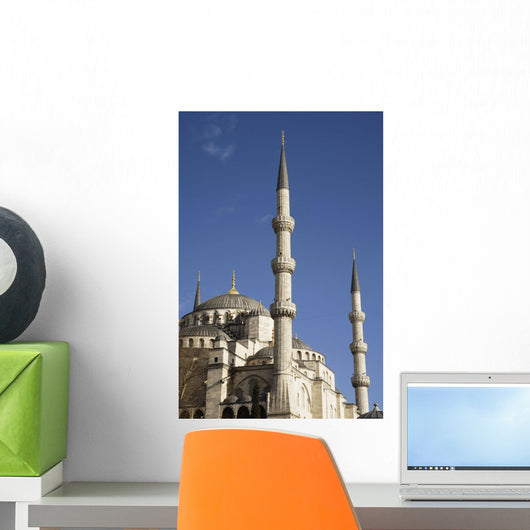 Blue Mosque Or Sultan Ahmet Camii Wall Mural