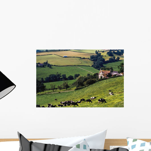Cows On Hillside Wall Mural