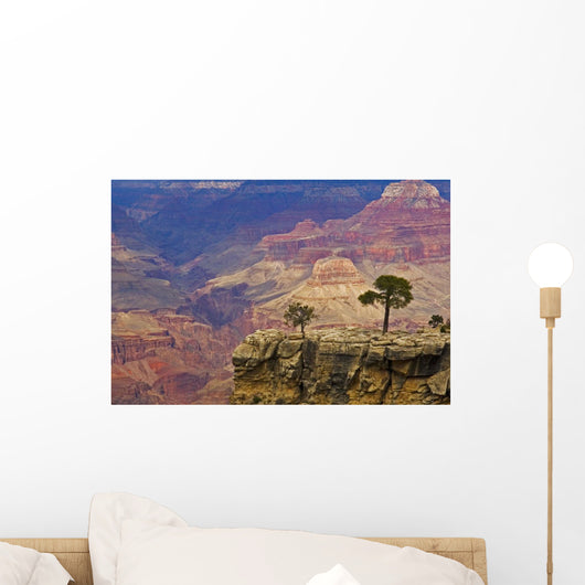 South Rim Of Grand Canyon, Elevated View Wall Mural