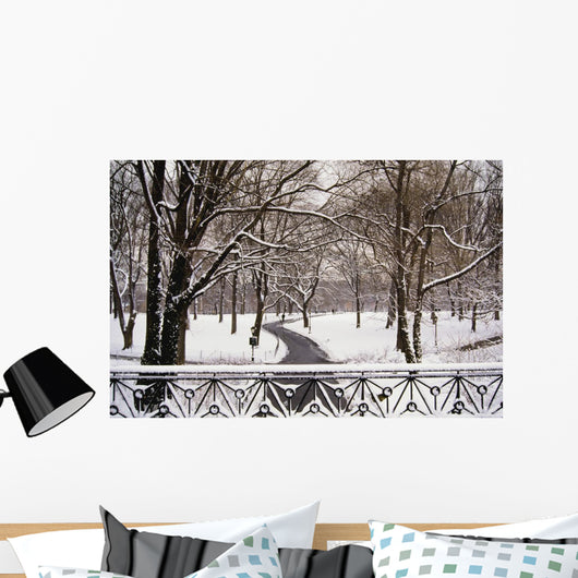 Snow In Central Park Wall Mural