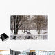 Snow In Central Park Wall Mural