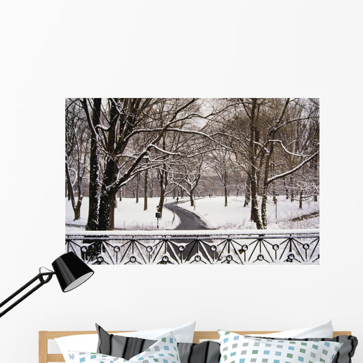 Snow In Central Park Wall Mural