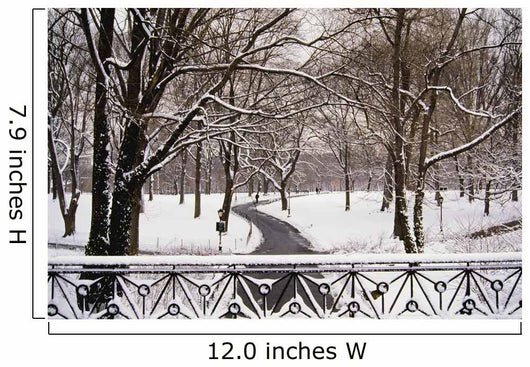 Snow In Central Park Wall Mural