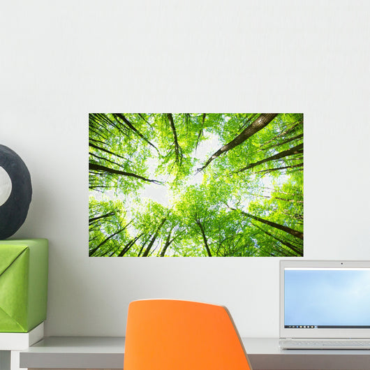 Nature Wall Mural