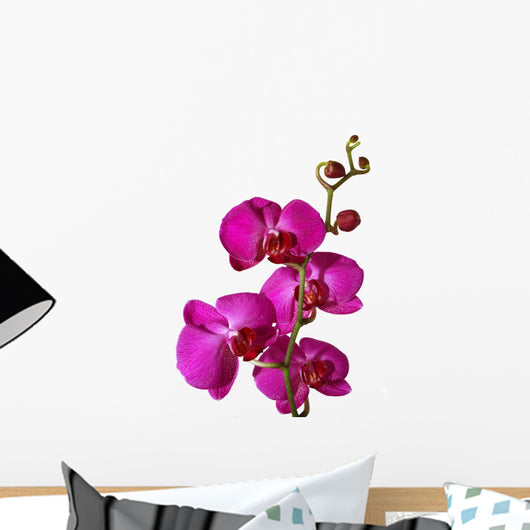Pink Orchid Wall Decal