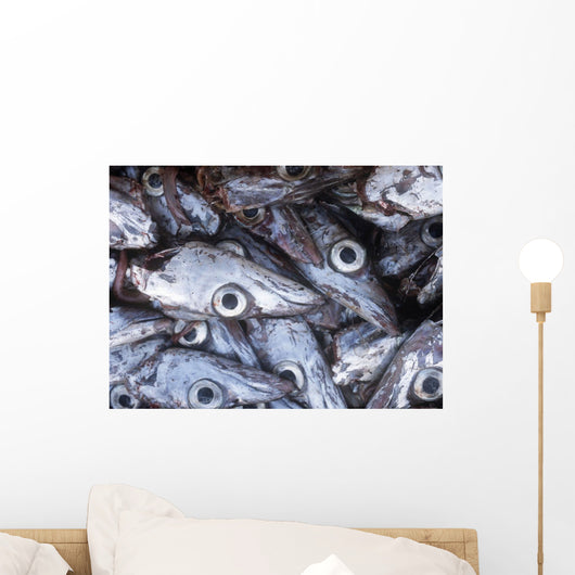 Detail Of Fish Heads Wall Mural
