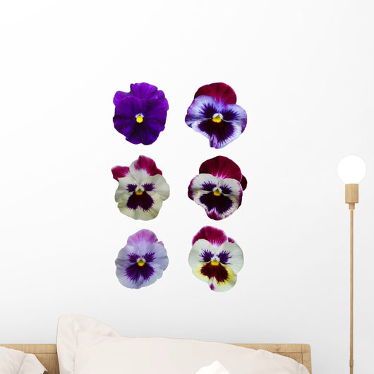 Six Pansies Pansy Flowers Wall Decal Sticker Set