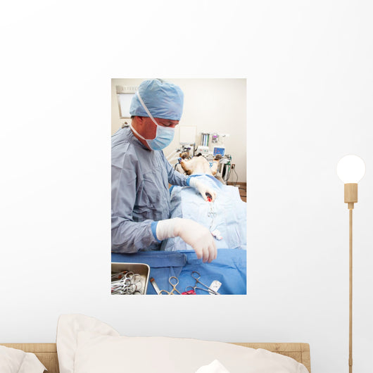 Veterniarian performing sterilization operation on dog Wall Mural
