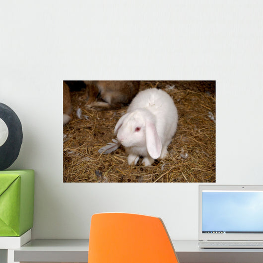 Lapin Blanc Wall Mural