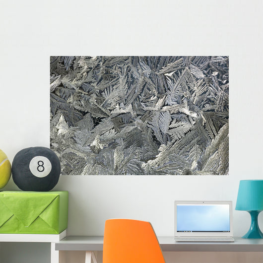 Frost Crystals On A Window Wall Mural