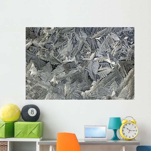 Frost Crystals On A Window Wall Mural