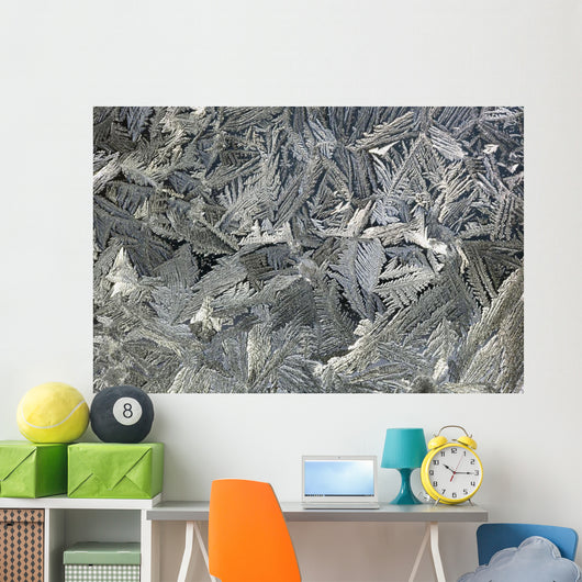Frost Crystals On A Window Wall Mural