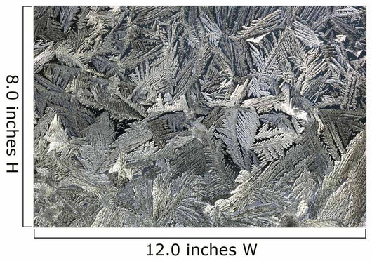 Frost Crystals On A Window Wall Mural
