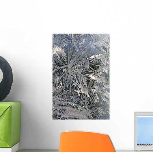Frost Crystals On A Window Wall Mural