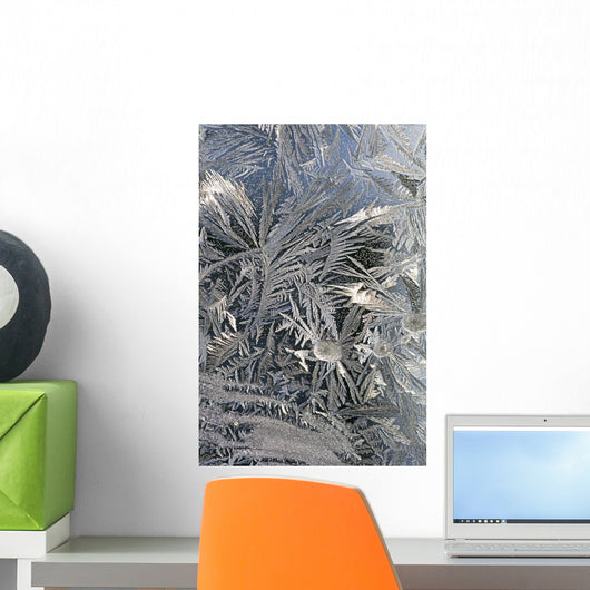 Frost Crystals On A Window Wall Mural