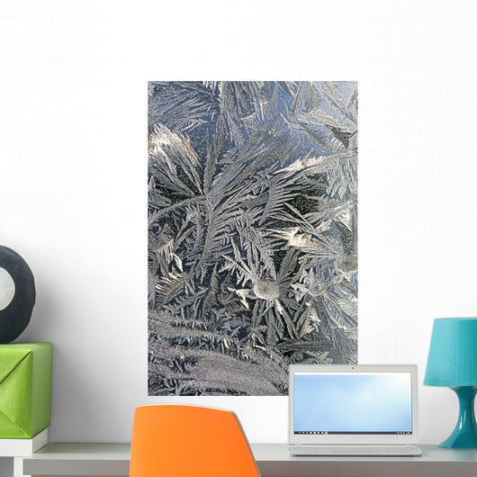 Frost Crystals On A Window Wall Mural