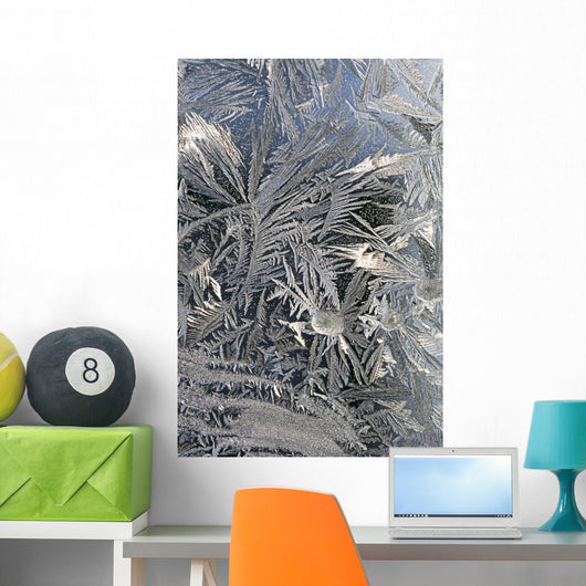 Frost Crystals On A Window Wall Mural