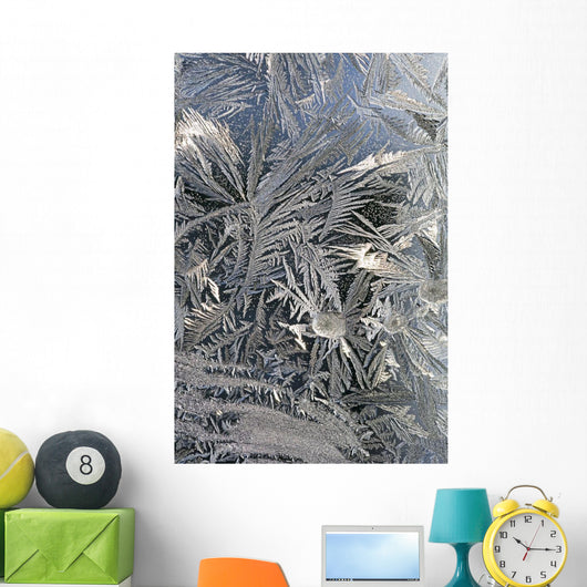 Frost Crystals On A Window Wall Mural