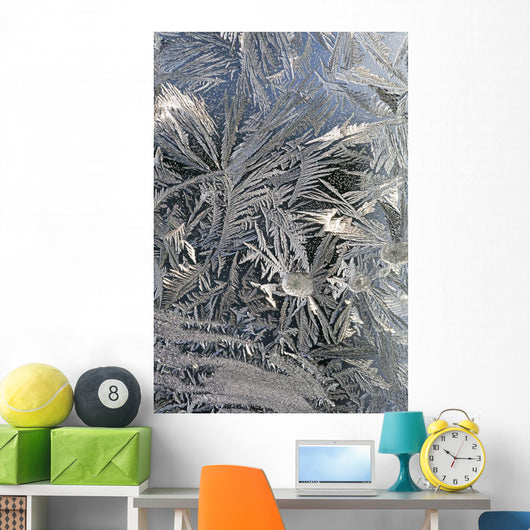 Frost Crystals On A Window Wall Mural