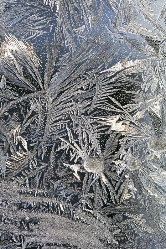 Frost Crystals On A Window Wall Mural