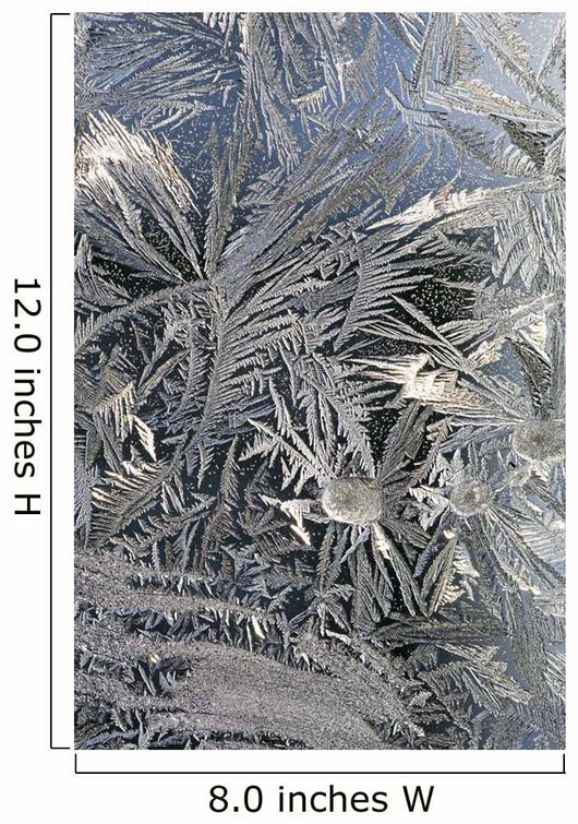 Frost Crystals On A Window Wall Mural