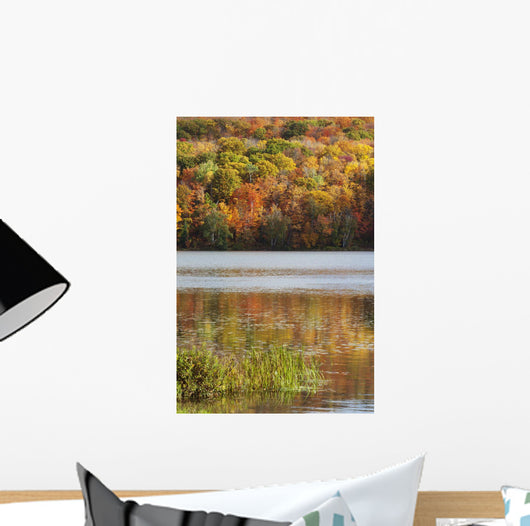 Reflection Of Autumn Colors In A Lake Wall Mural