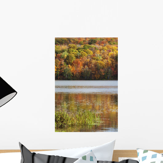 Reflection Of Autumn Colors In A Lake Wall Mural