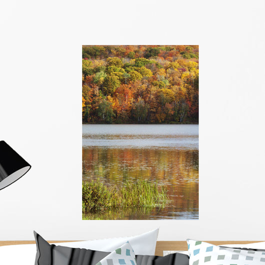 Reflection Of Autumn Colors In A Lake Wall Mural