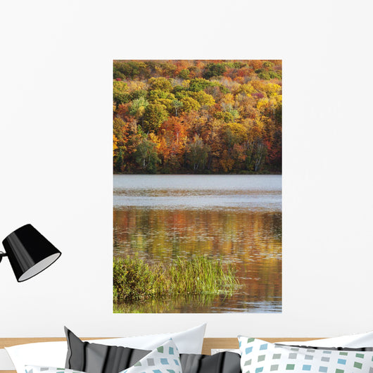 Reflection Of Autumn Colors In A Lake Wall Mural
