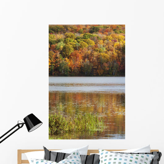 Reflection Of Autumn Colors In A Lake Wall Mural