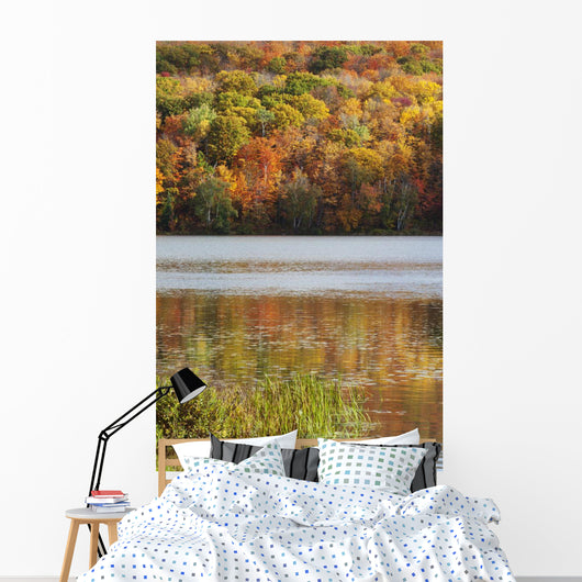 Reflection Of Autumn Colors In A Lake Wall Mural