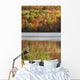 Reflection Of Autumn Colors In A Lake Wall Mural