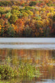 Reflection Of Autumn Colors In A Lake Wall Mural