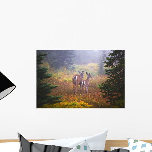 Deer In The Fog In Paradise Park In Mt Rainier National Park Wall Mural