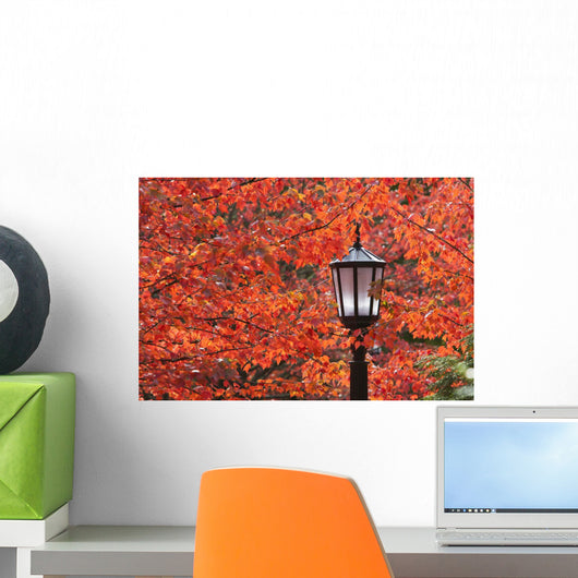 Autumn Colors On The Leaves And A Light Post Wall Mural