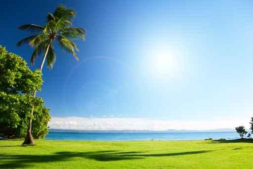 Caribbean Sea and Palms Wall Decal Design 1