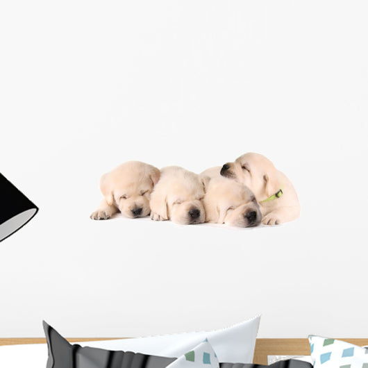 Four Sleeping Labrador Puppies Wall Decal