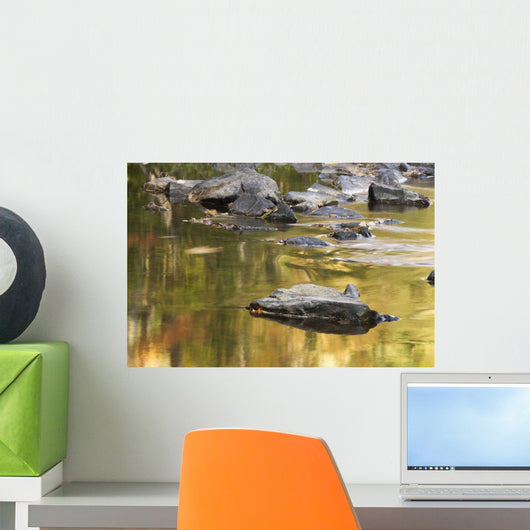 Reflection Of Autumn Colors In The Water Wall Mural