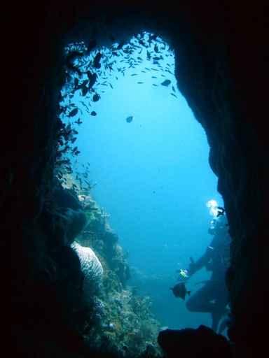 Diver Wall Decal