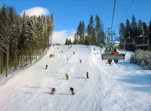 Ski Track Carpathian Mountains Wall Decal