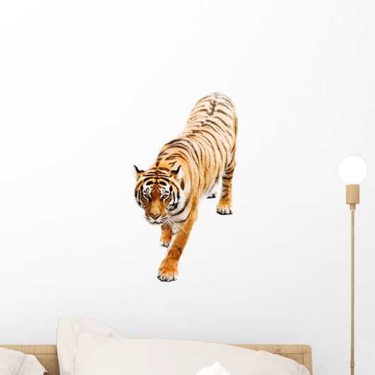 Tiger Wall Decal